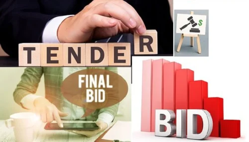 Our Tender Services